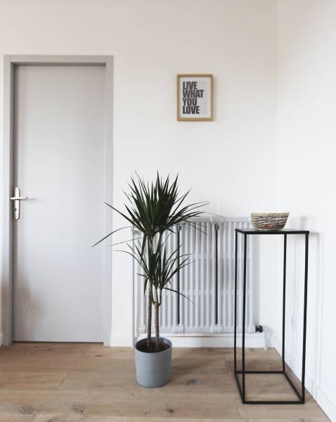 Radiateur repeint