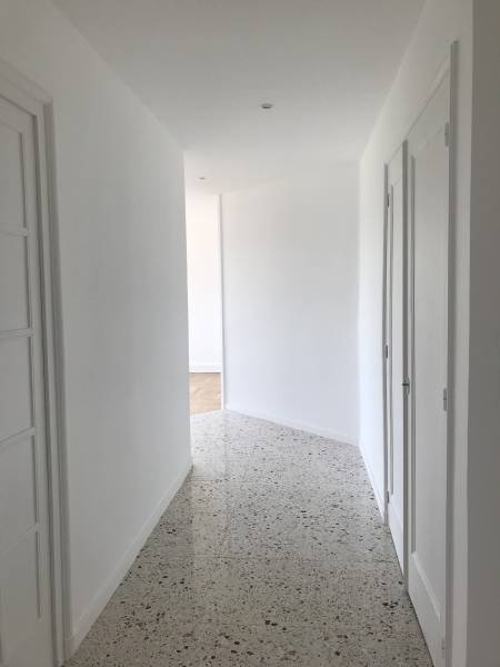 Rénovation d'un bel appartement à Lyon 6